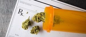 Majority of Pharmacy Students Want Medical Marijuana Legalized
