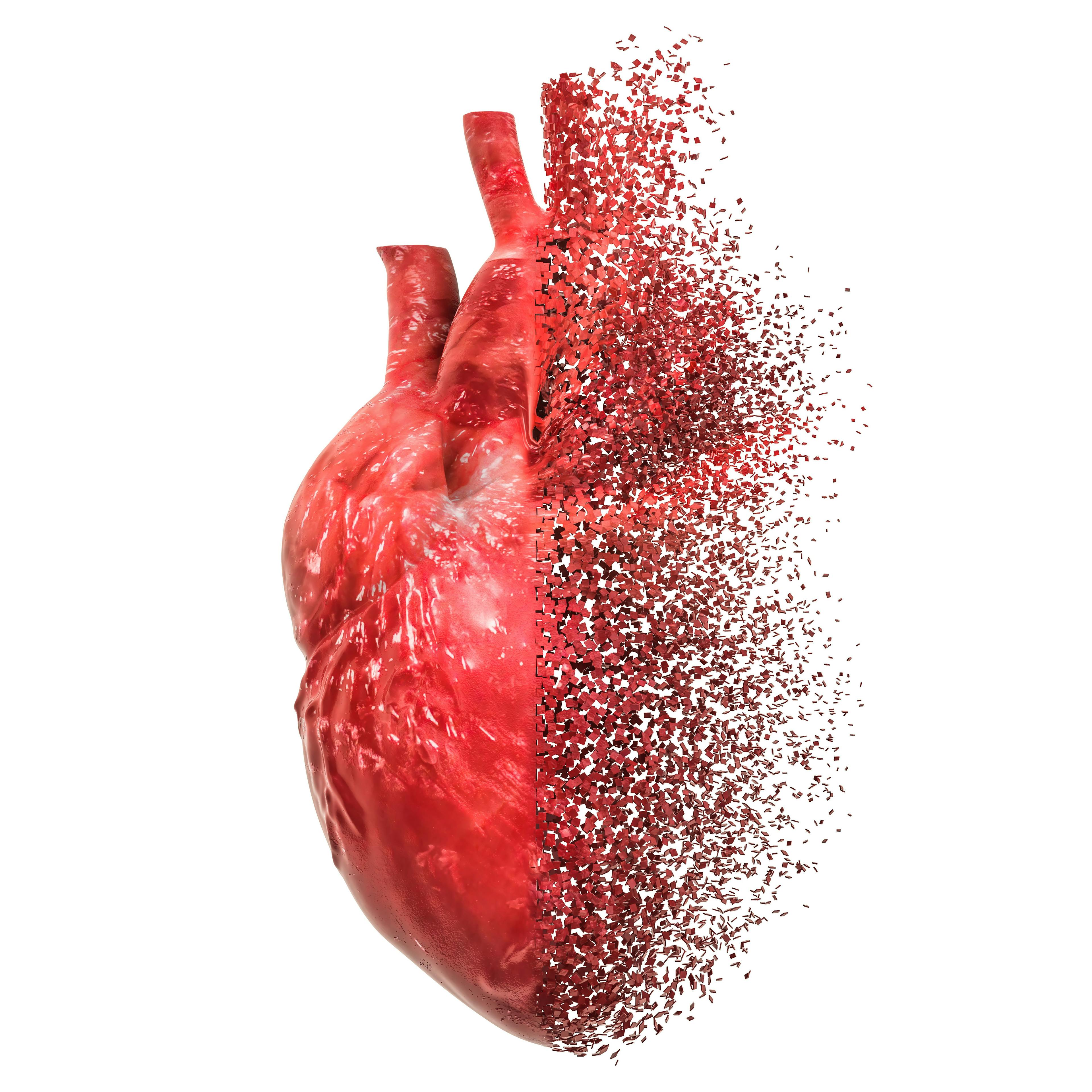 Heart disease concept. 3D rendering. Image Credit: alexlmx - stock.adobe.com
