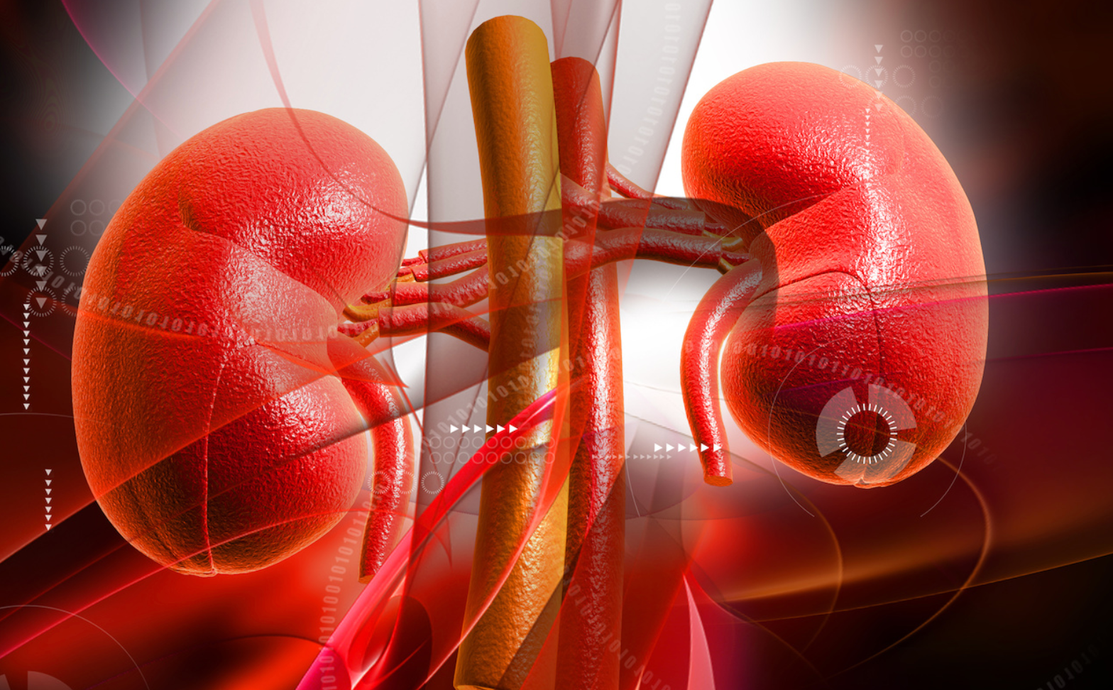 Study Finds RAS Inhibition Has Little Effect on Outcomes in Advanced Chronic Kidney Disease