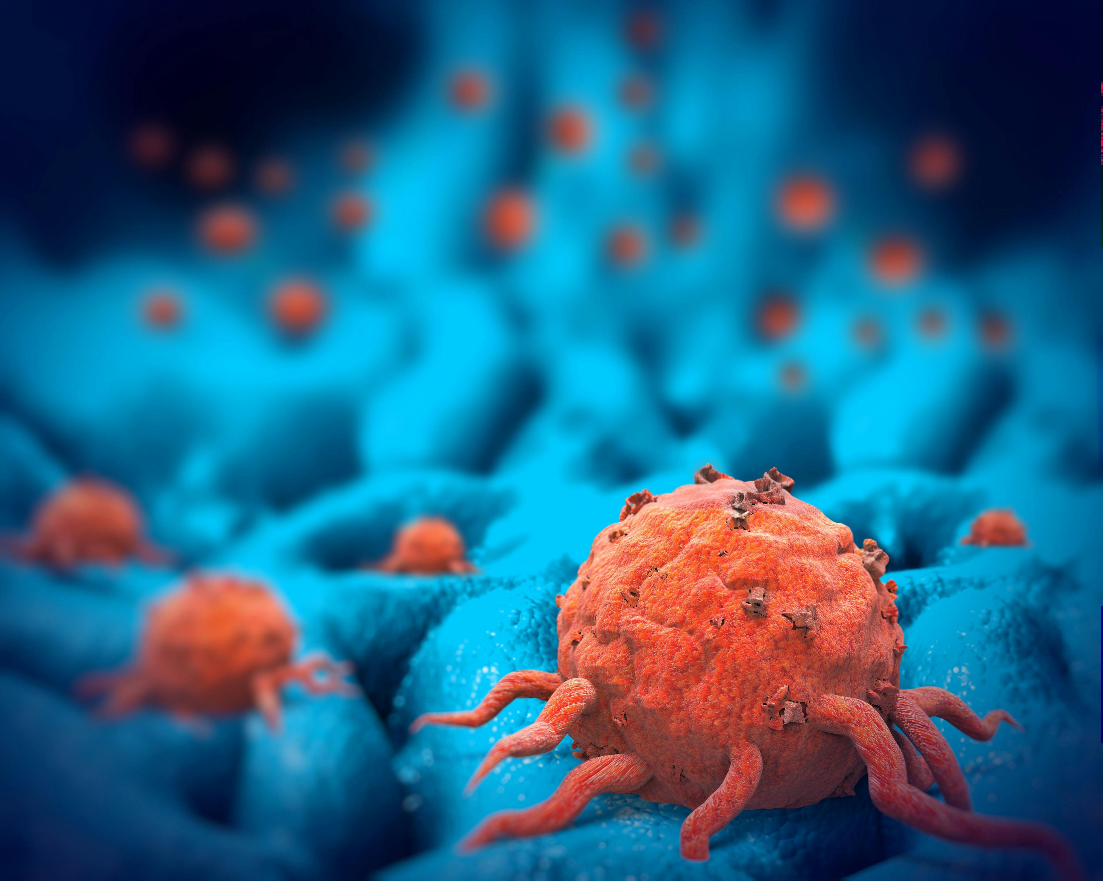 Study Finds Memory T Cells Which Protect Lymph Nodes From the Spread of Cancer