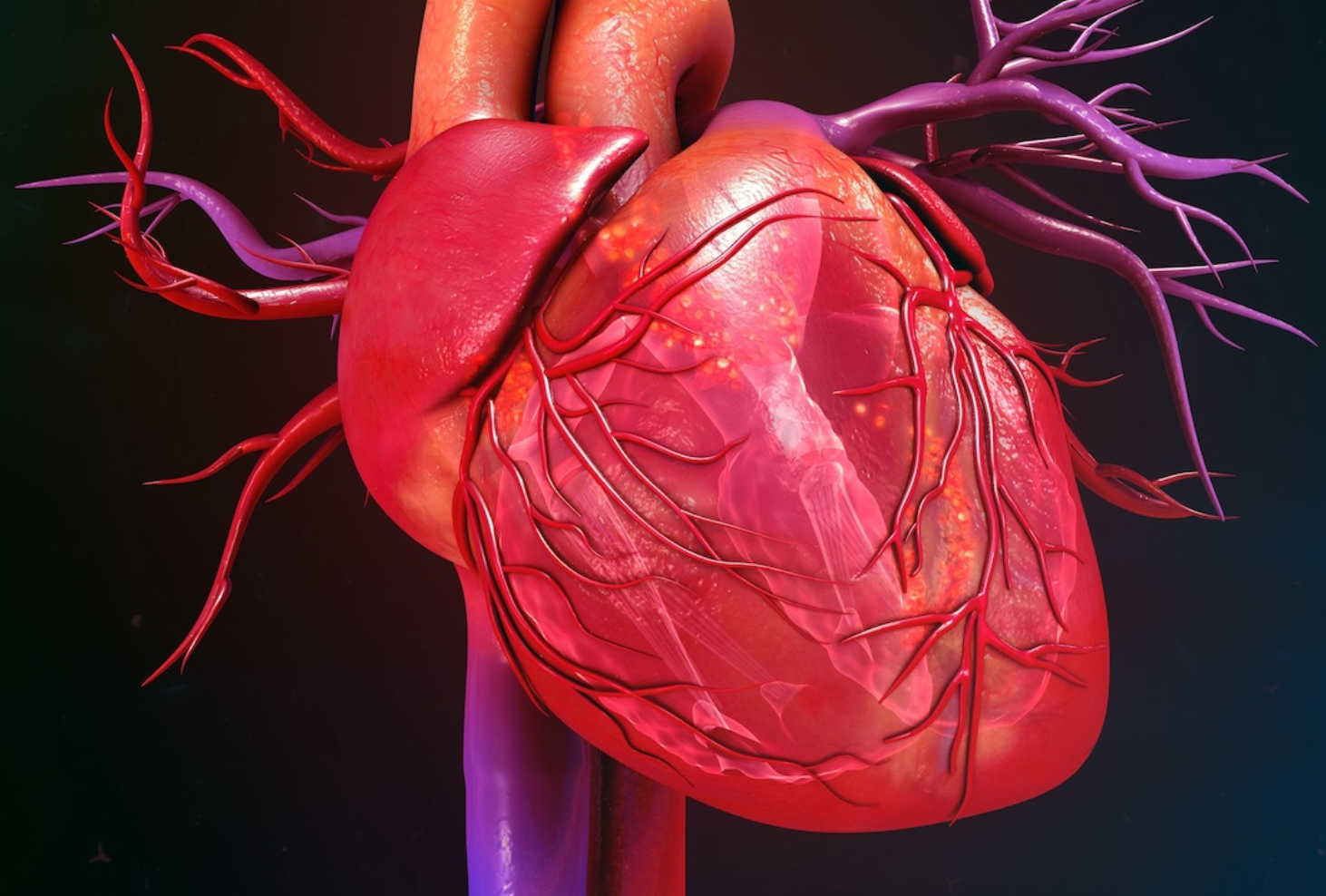 New Data From Trials of Evolocumab, Olpasiran Show Promise for Cardiovascular Disease Care