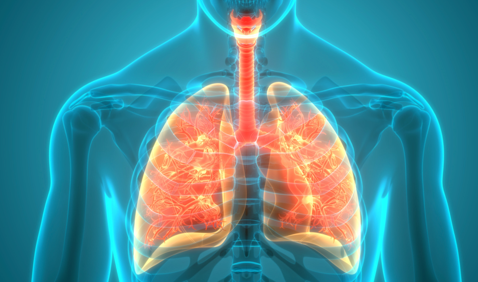 FDA Accepts NDA for Adagrasib for Non-Small Cell Lung Cancer