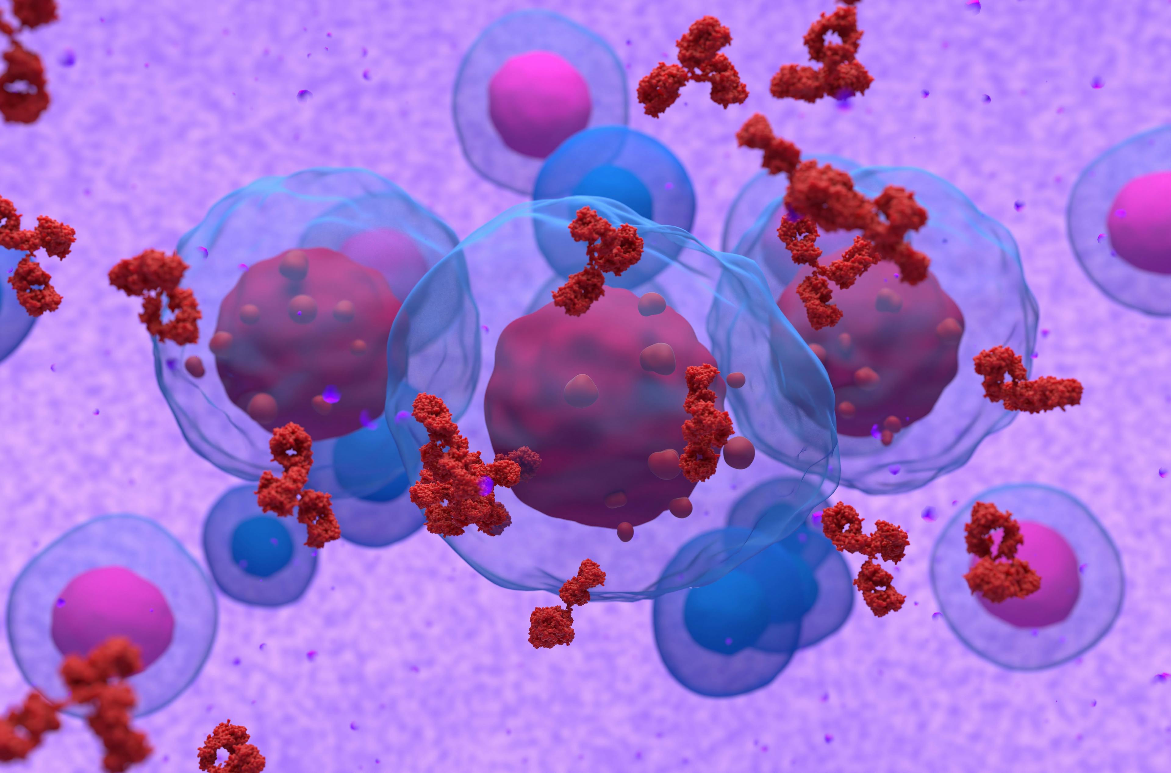 Abnormal plasma cell or b-cell in multiple myeloma emitting paraprotein | Image Credit: LASZLO - stock.adobe.com