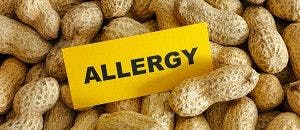 Peanut Allergies Reduced by Early Consumption