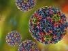 Strains of HPV Decrease Due to HPV Vaccination, Study Finds
