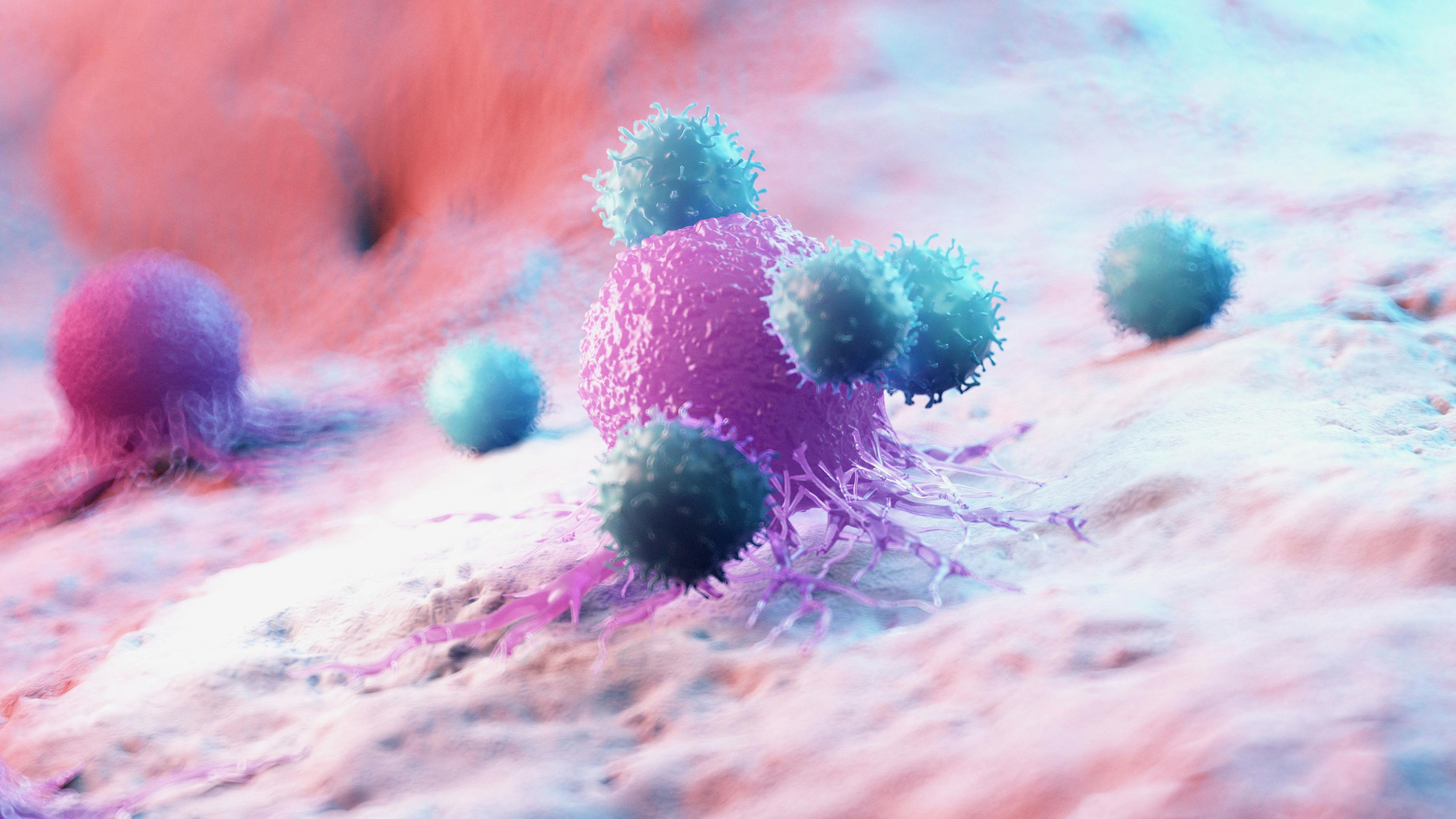 3d rendered medically accurate illustration of leukocytes attacking a cancer cell | Image Credit: SciePro - stock.adobe.com