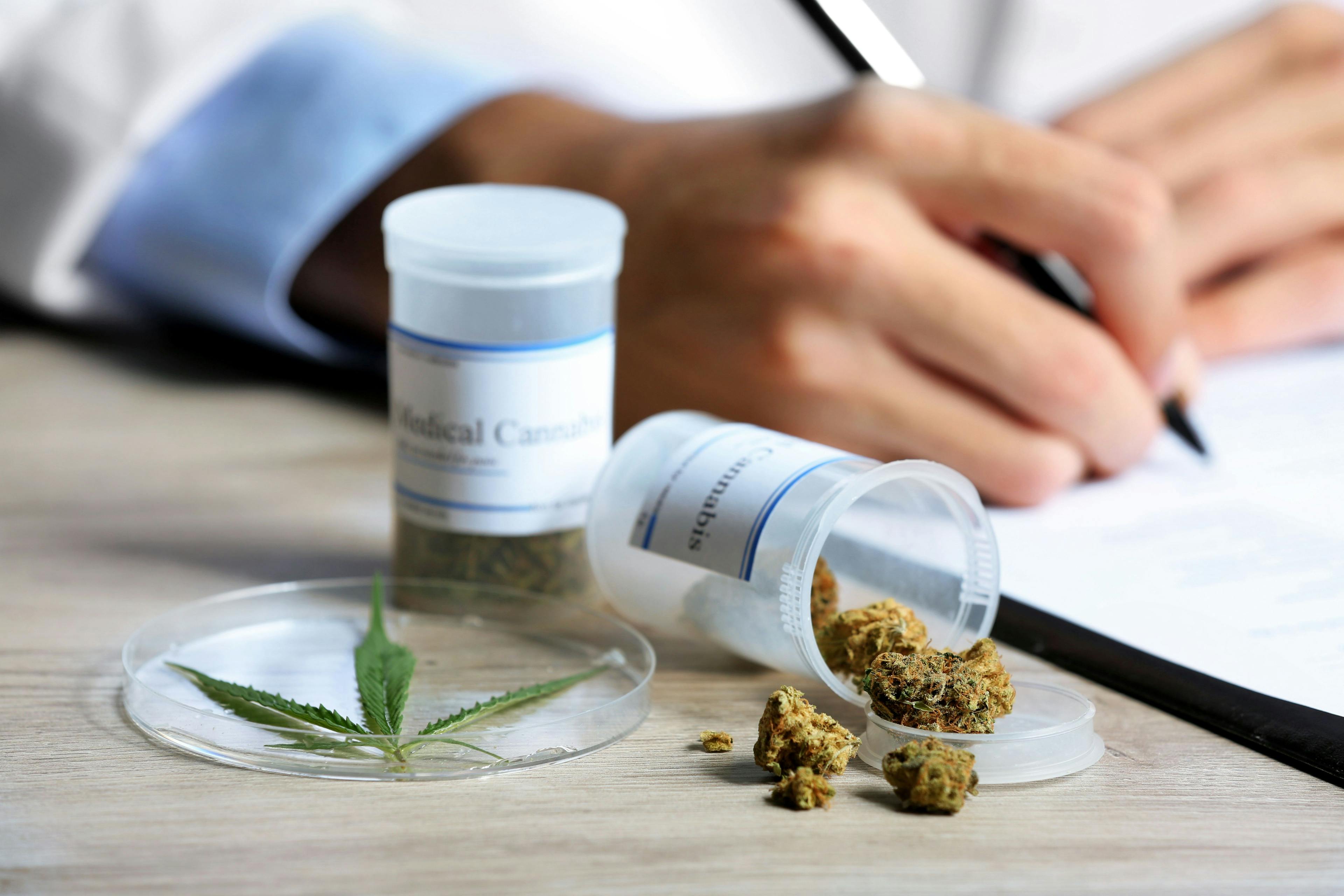 As Cannabis Use Increases, Pharmacists Must Be Prepared to Counsel Patients