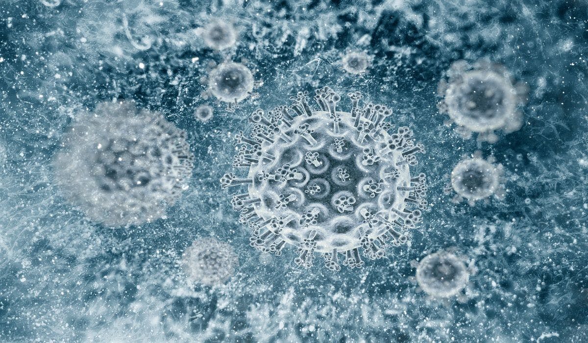 Roche Launches Dual Antibody, Antigen Hepatitis C Virus Diagnostic Test