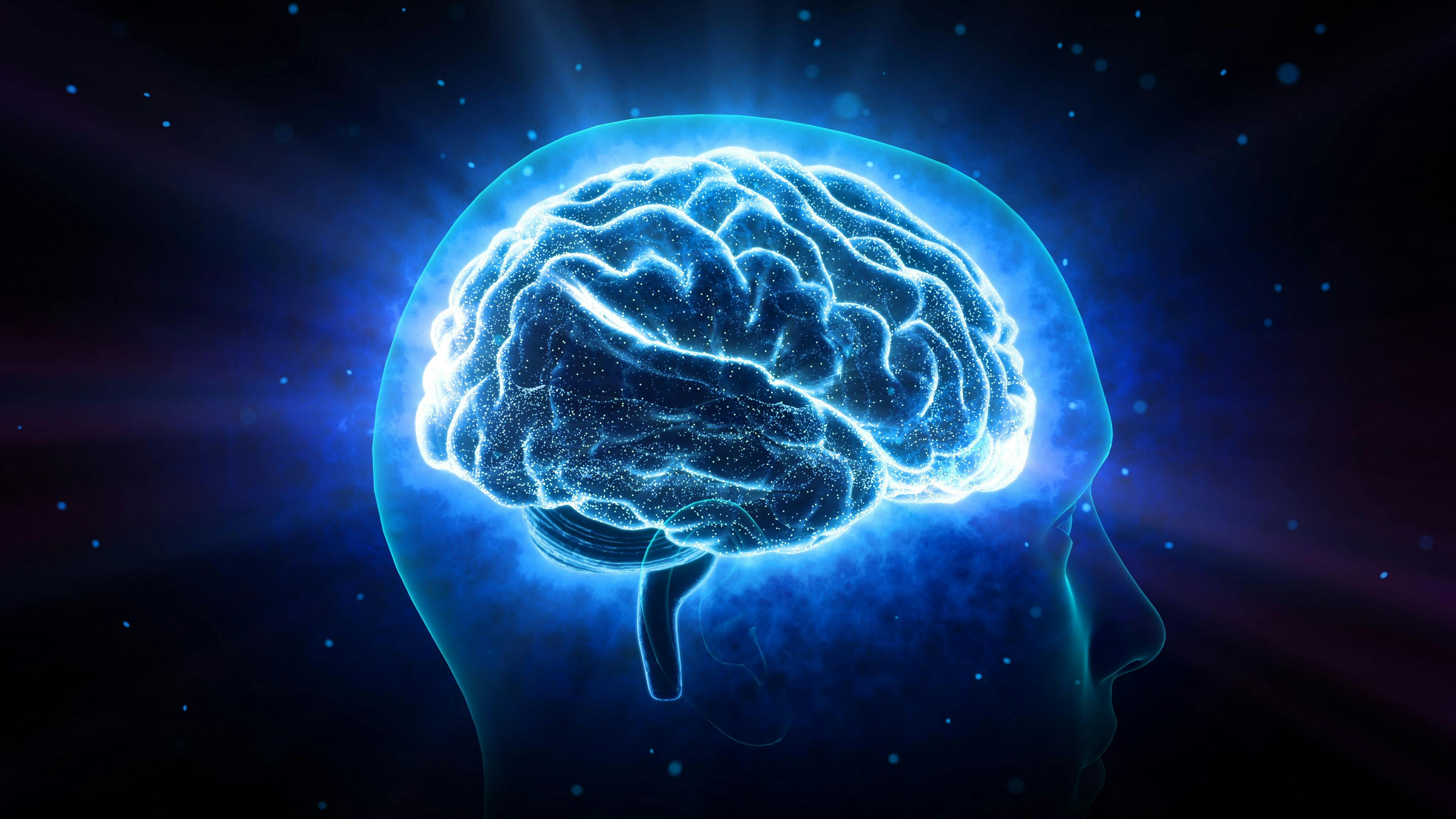 Brain head human mental idea -- Image credit: bluebackimage | stock.adobe.com