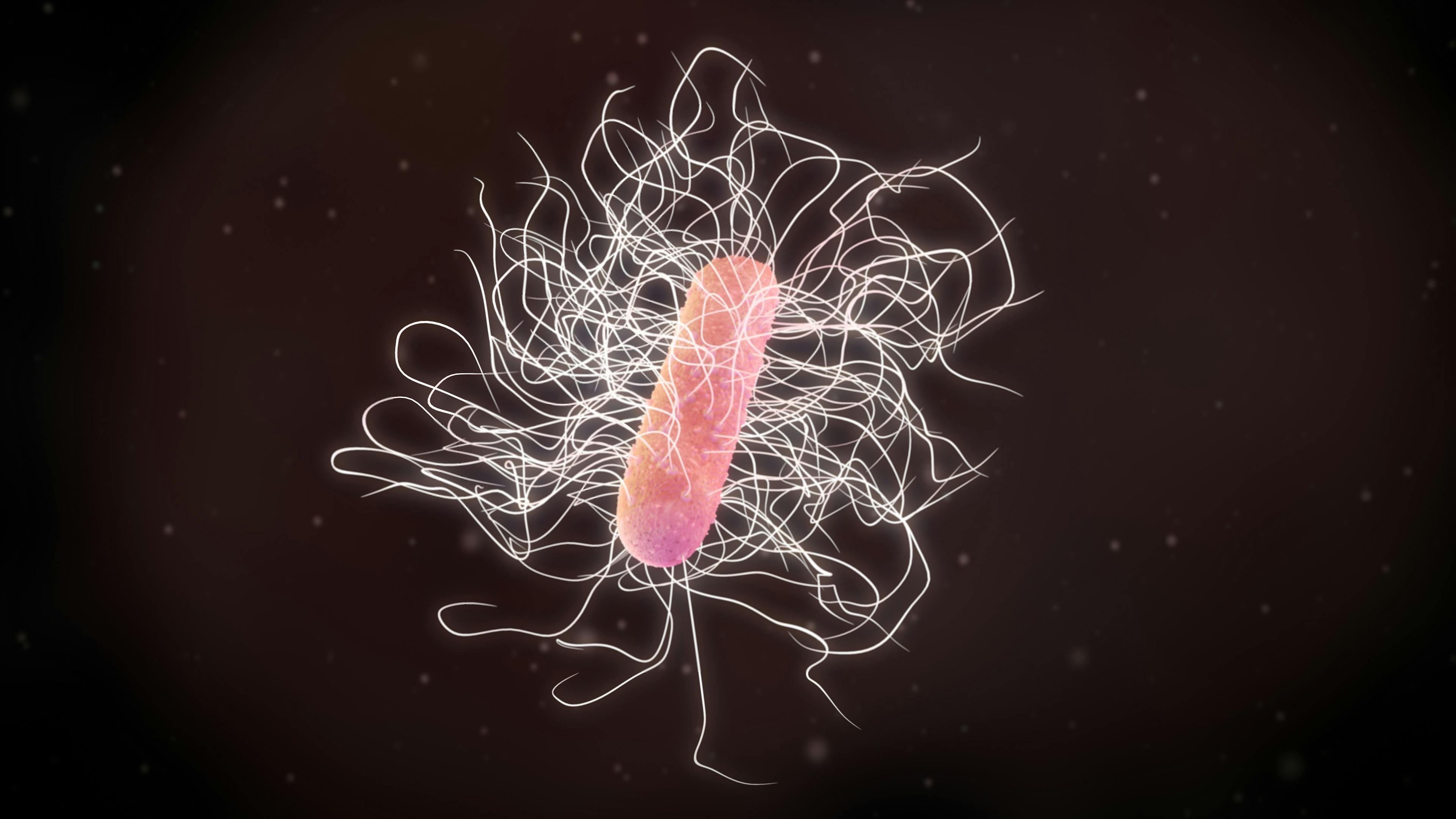 3D illustration of a clostridium difficile bacteria - Image credit: Gaetan | stock.adobe.com 