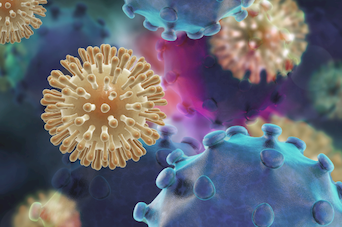 Anti-HIV Antibody Combination Effective During Antiretroviral Therapy