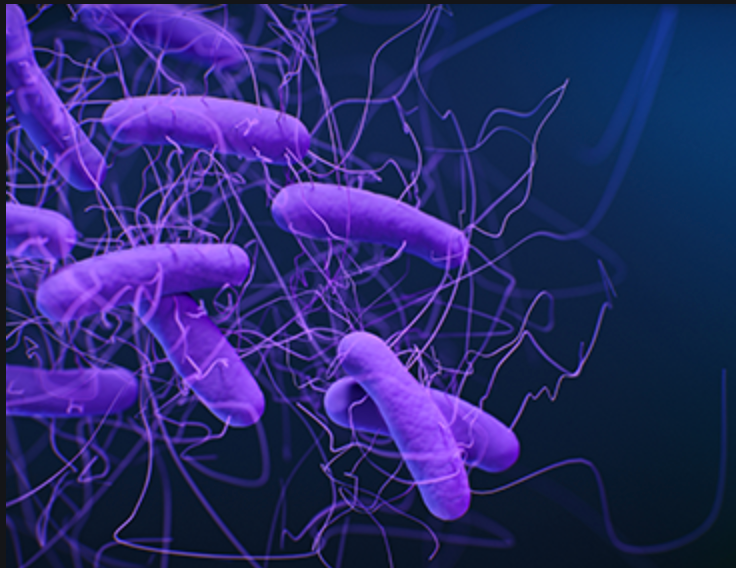 Pharmacy Quiz: Test Your Knowledge on C. Difficile Infection