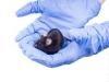 Common Cancer Drugs Spark Weight Loss in Morbidly Obese Mice