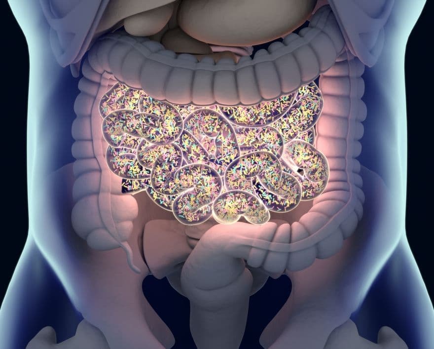 Relationship Between Gut Microbiome, C. Diff Infection