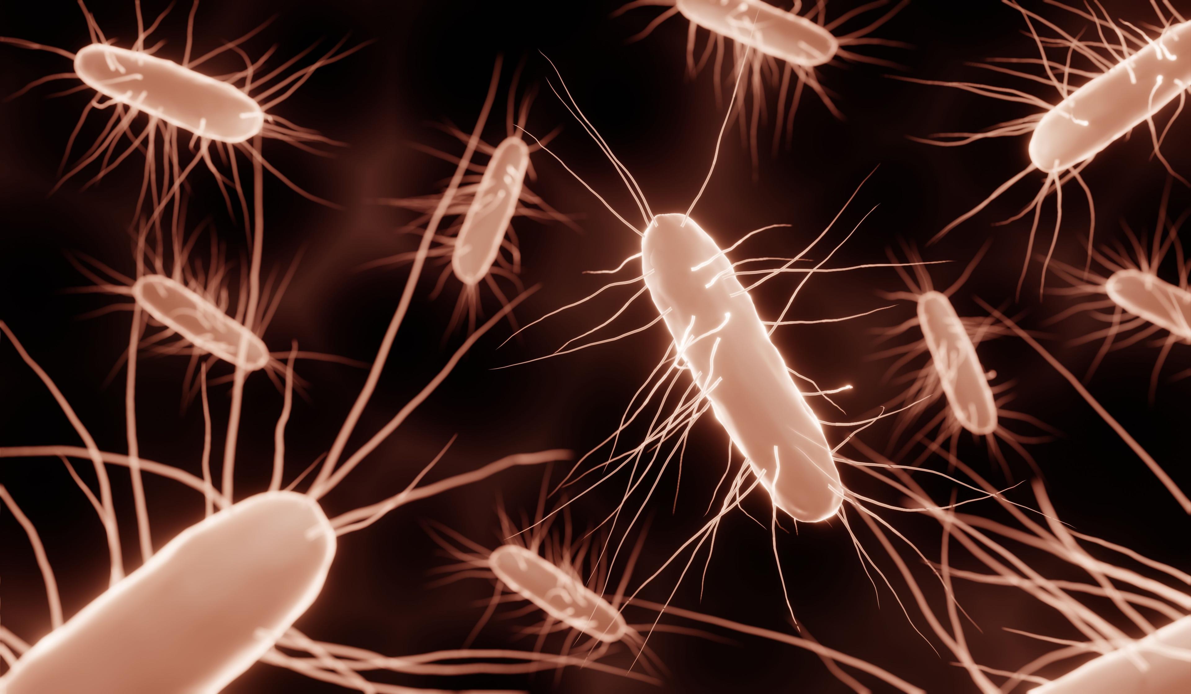 Expert: Patients With C. difficile Can Have Difficulty Advocating For Themselves