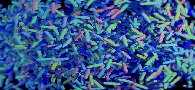 Changes in Gut Bacteria Could Allow Better Predictions of Type 2 Diabetes Risk