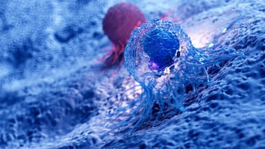 3d rendered illustration of the anatomy of a cancer cell | Image Credit: Sebastian Kaulitzki - stock.adobe.com