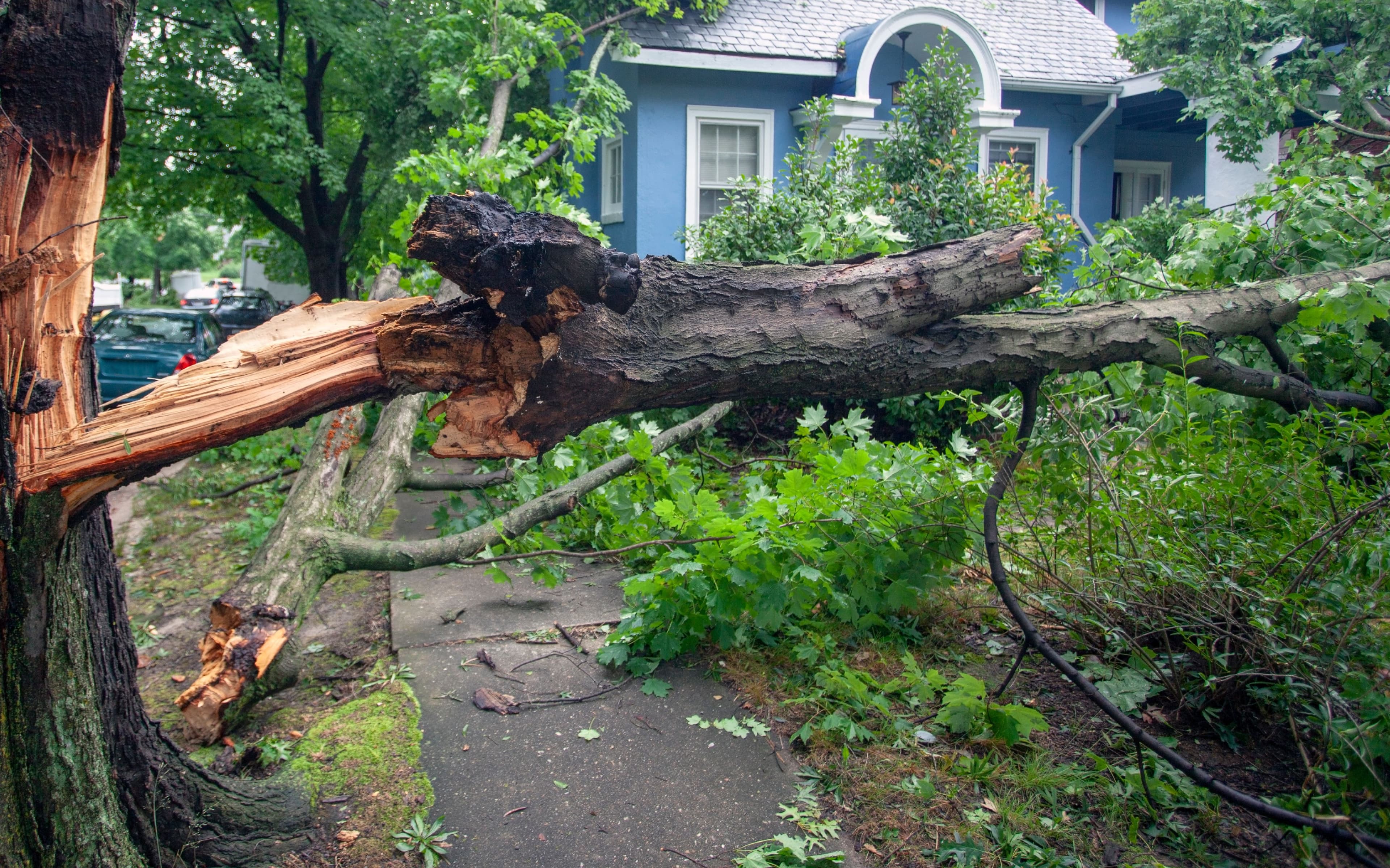 Hurricane damage