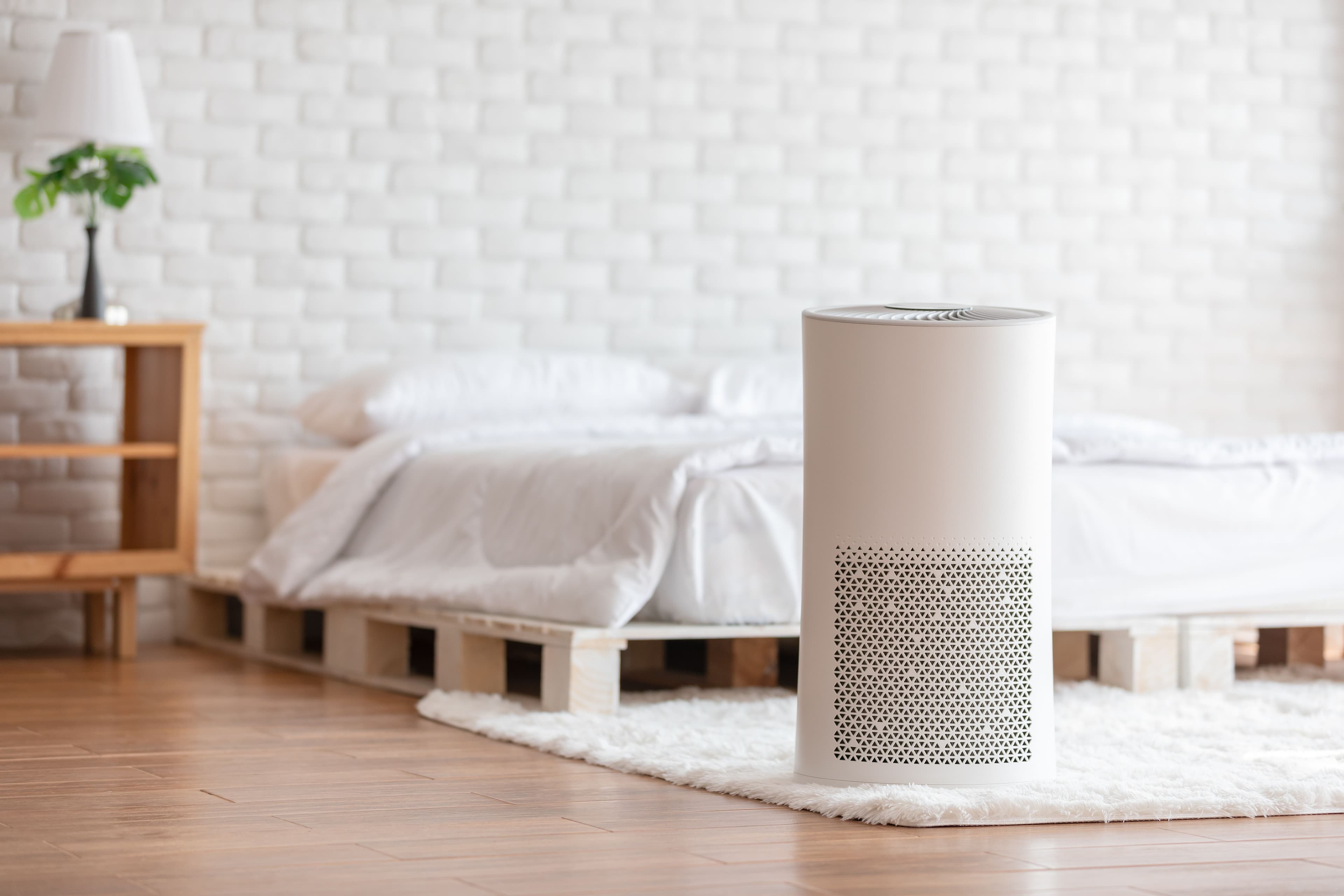 Air purifier in cozy white bedroom for filter and cleaning removing dust PM2.5 HEPA in home,for fresh air and healthy life,Air Pollution Concept - Image credit: 220 Selfmade studio | stock.adobe.com