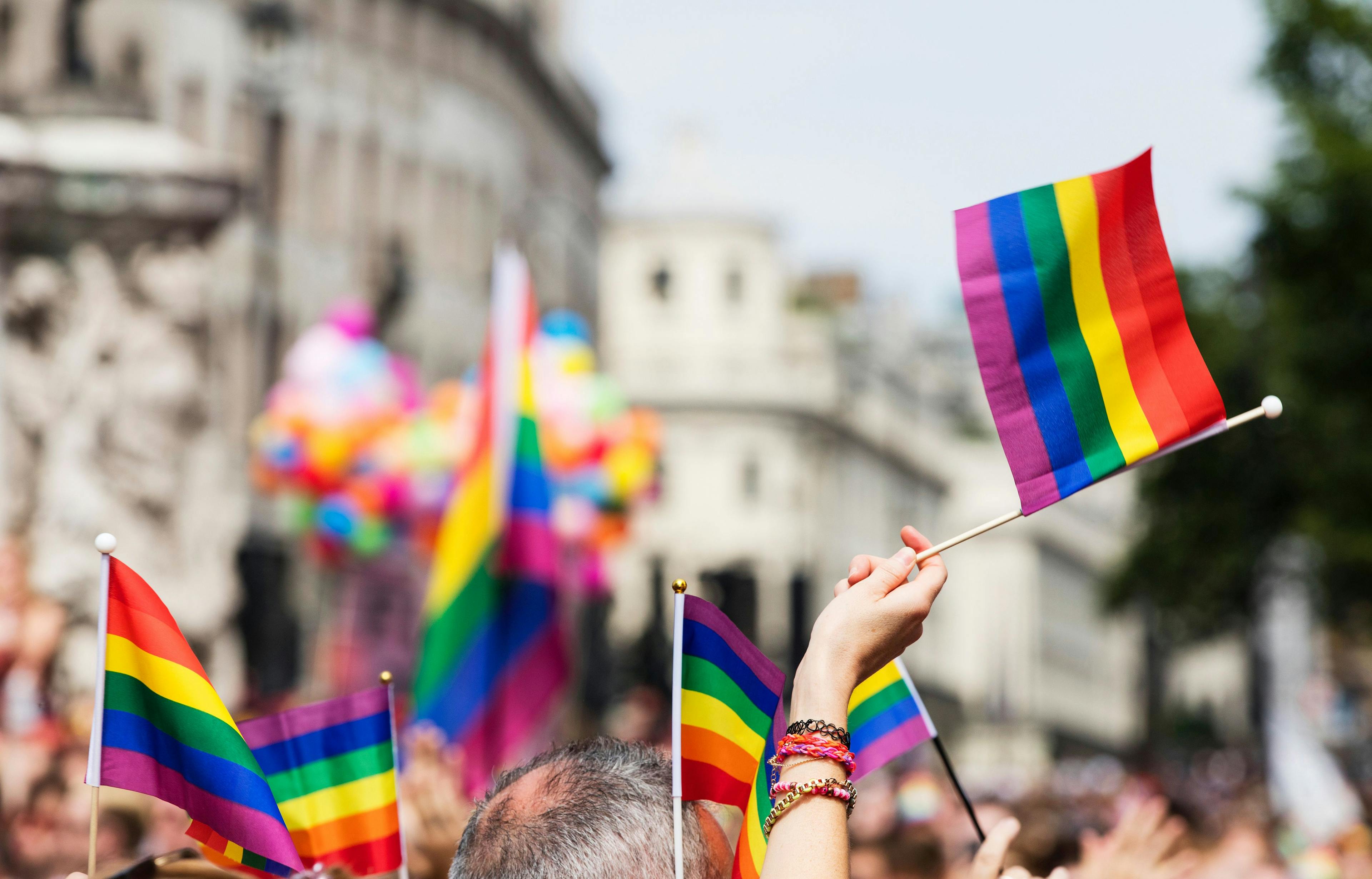Pride flags during pride event -- Image credit: ink drop | stock.adobe.com