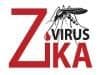 Trending News Today: Zika May Also Infect Adult Brain Cells