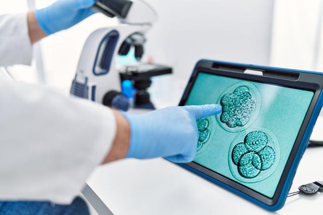 Middle age grey-haired man wearing scientist uniform looking embryology image touchpad at laboratory