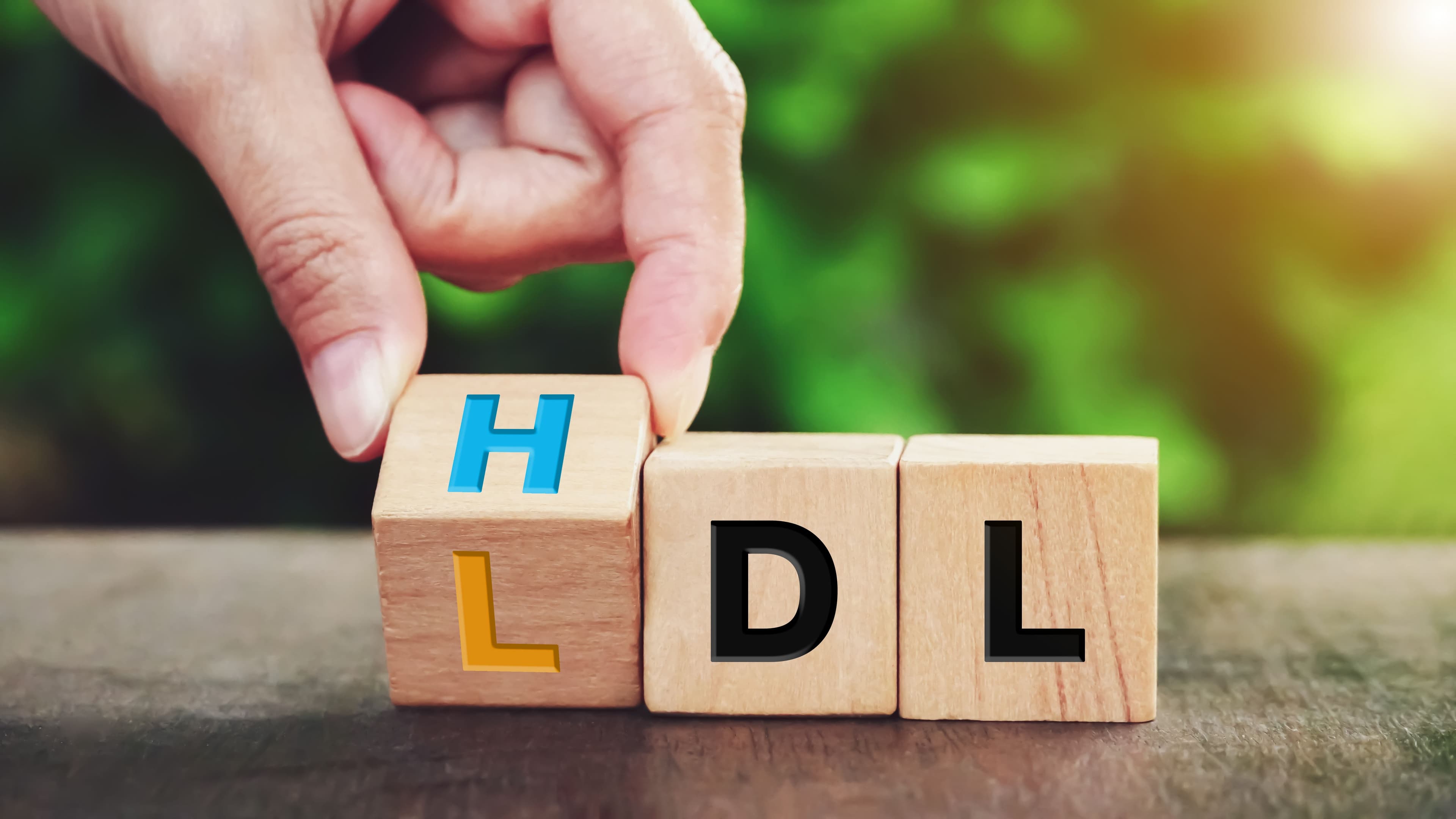 Wooden blocks spelling HDL, LDL | Image Credit: © surasak - stock.adobe.com