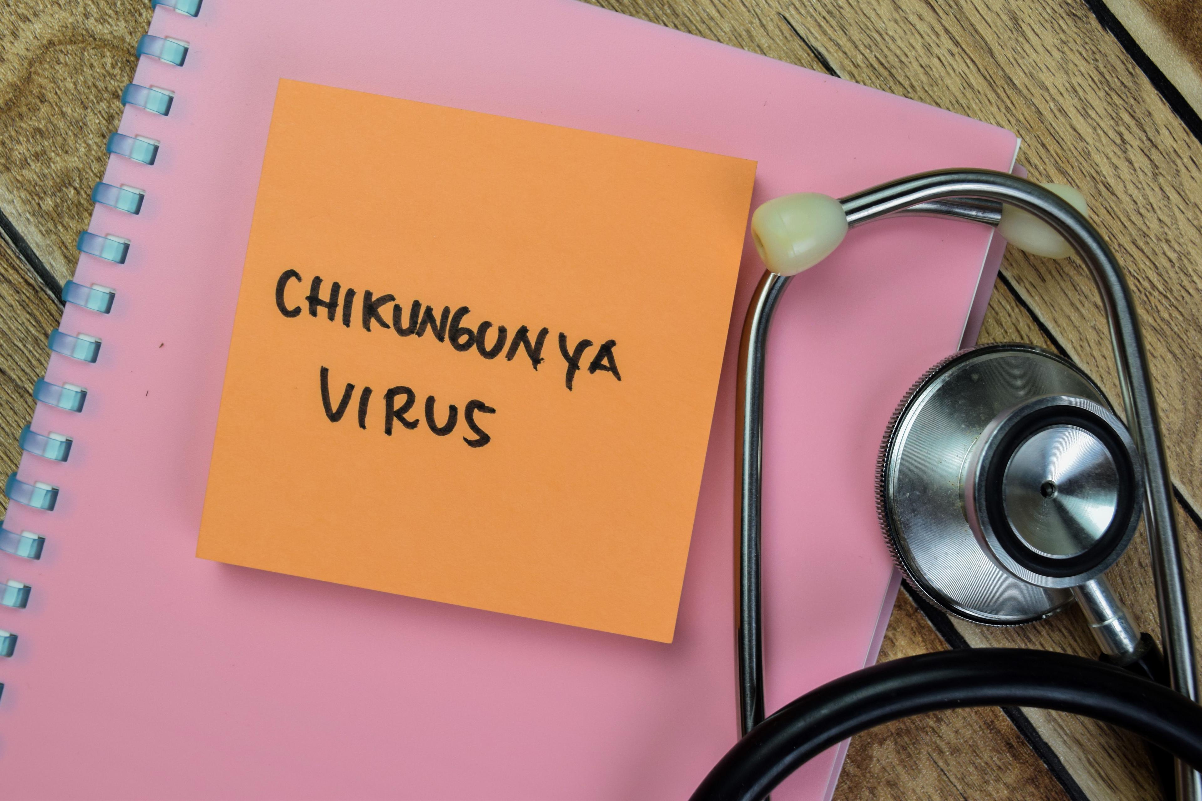 Chikungunya Virus -- Image credit: syahrir | stock.adobe.com