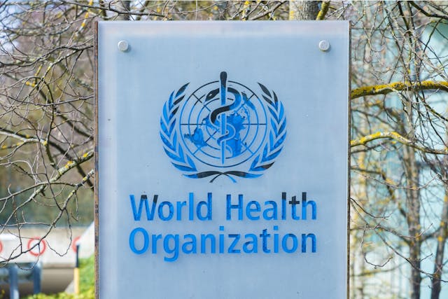 World Health Organization logo -- Image credit: hectorchristiaen | stock.adobe.com