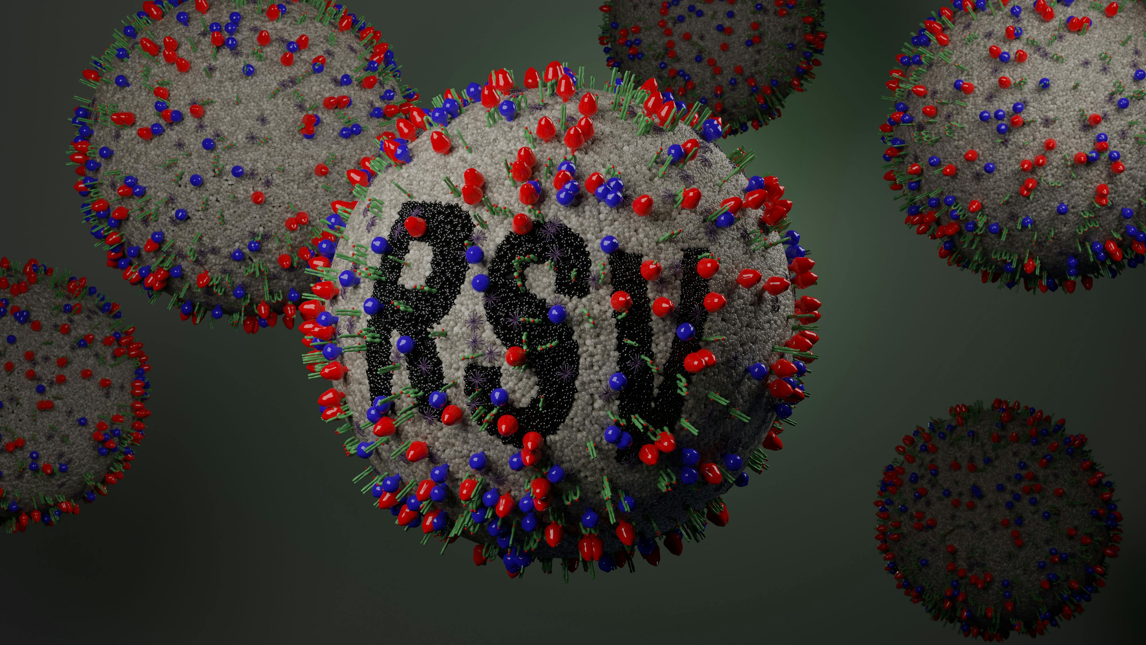 Illustration of Respiratory Syncytial Virus or RSV - Image credit: Peter Hansen | stock.adobe.com