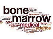 Research Advances Understanding of Bone Marrow Transplants