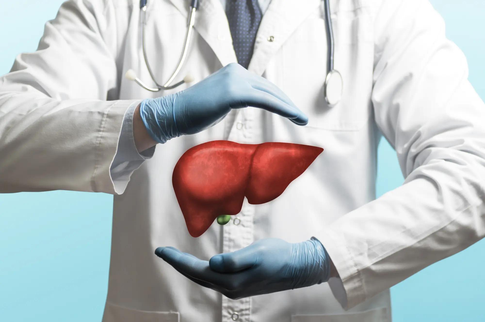 liver cancer cholesterol absorption inhibitors | Image Credit: © svetazi - stock.adobe.com