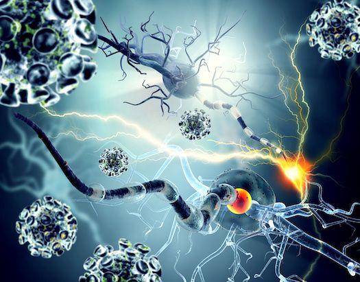 Ofatumumab Demonstrates Efficacy in Relapsing Multiple Sclerosis