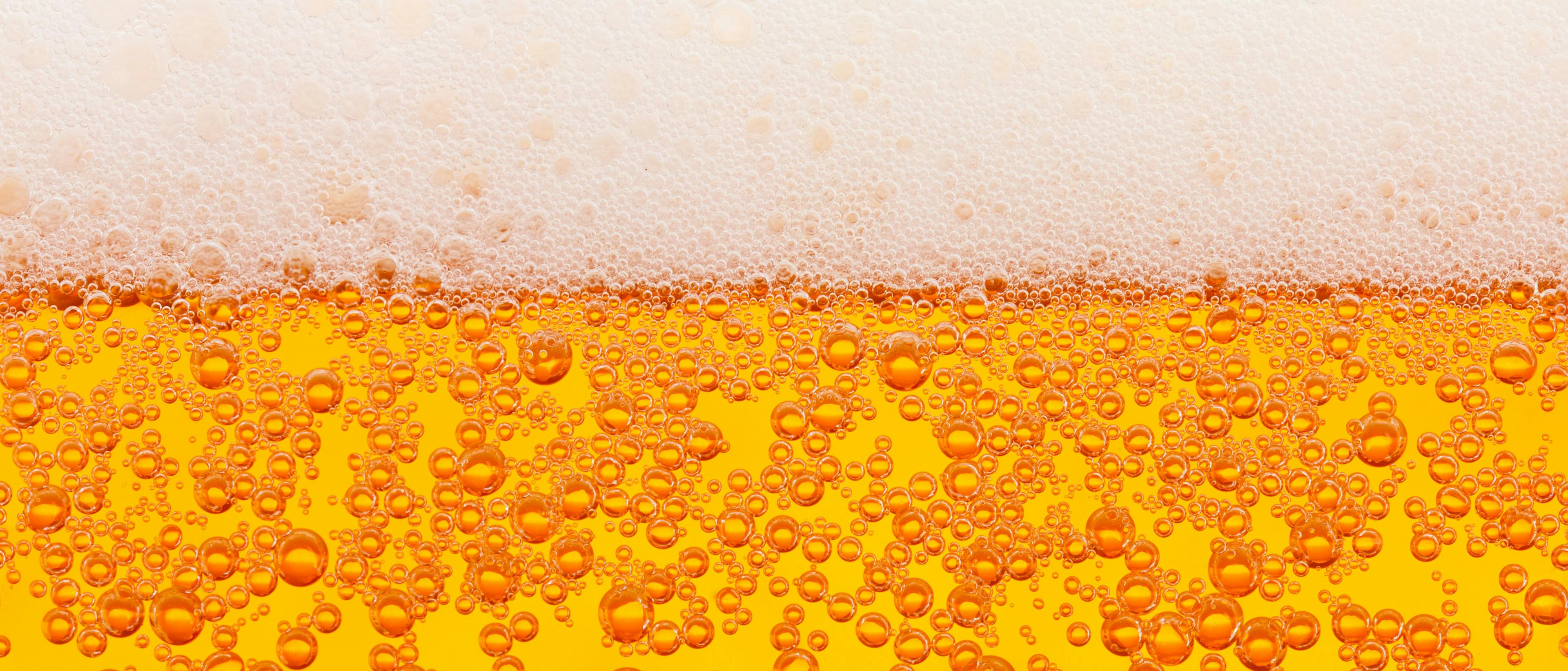 Beer's Hops May Help Slow Alzheimer's, Parkinson's Development