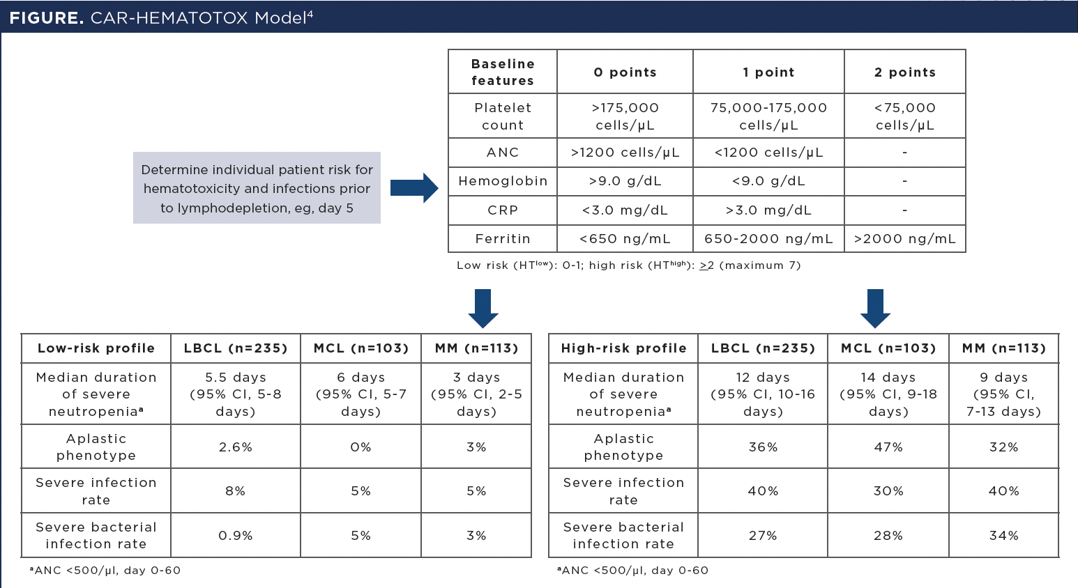 Figure: CAR-HEMATOTOX Model -- ANC, absolute neutrophil count; CRP, C-reactive protein; HT, hematotoxicity; LBCL, large B-cell lymphoma; MCL, mantle cell lymphoma; MM, multiple myeloma.