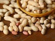 Patch Treatment May Prevent Peanut Allergies