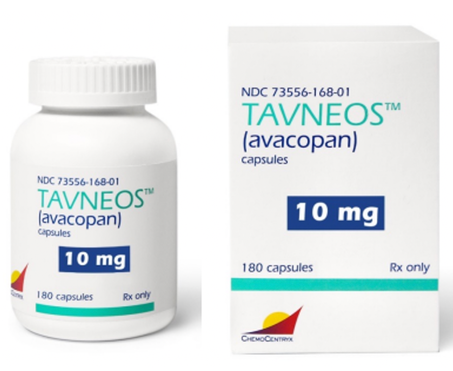 Daily Medication Pearl: Tavneos (avacopan) for Severe Active Anti-Neutrophil Cytoplasmic Autoantibody-Associated Vasculitis