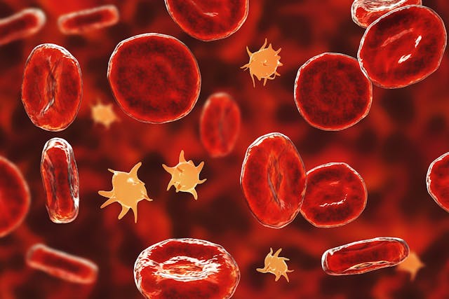 3D illustration of platelets in a blood smear.