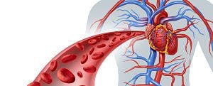 Melatonin and Myocardial Infarction: What is the Association?