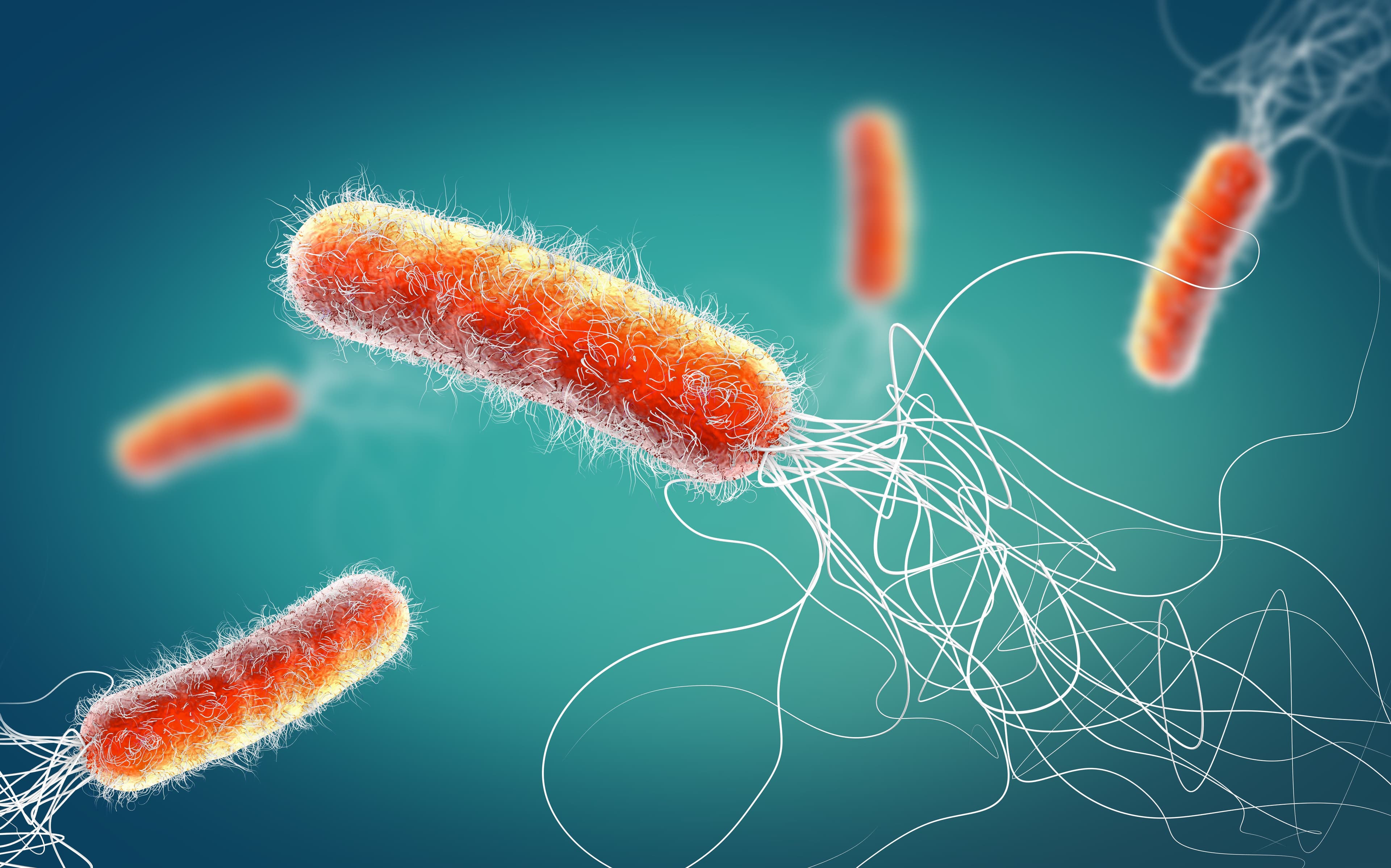 Investigative C. Diff Treatment Shows Success in Patients With Underlying Comorbidities