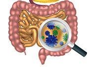 Drug Response Could Be Affected by Intestinal Flora