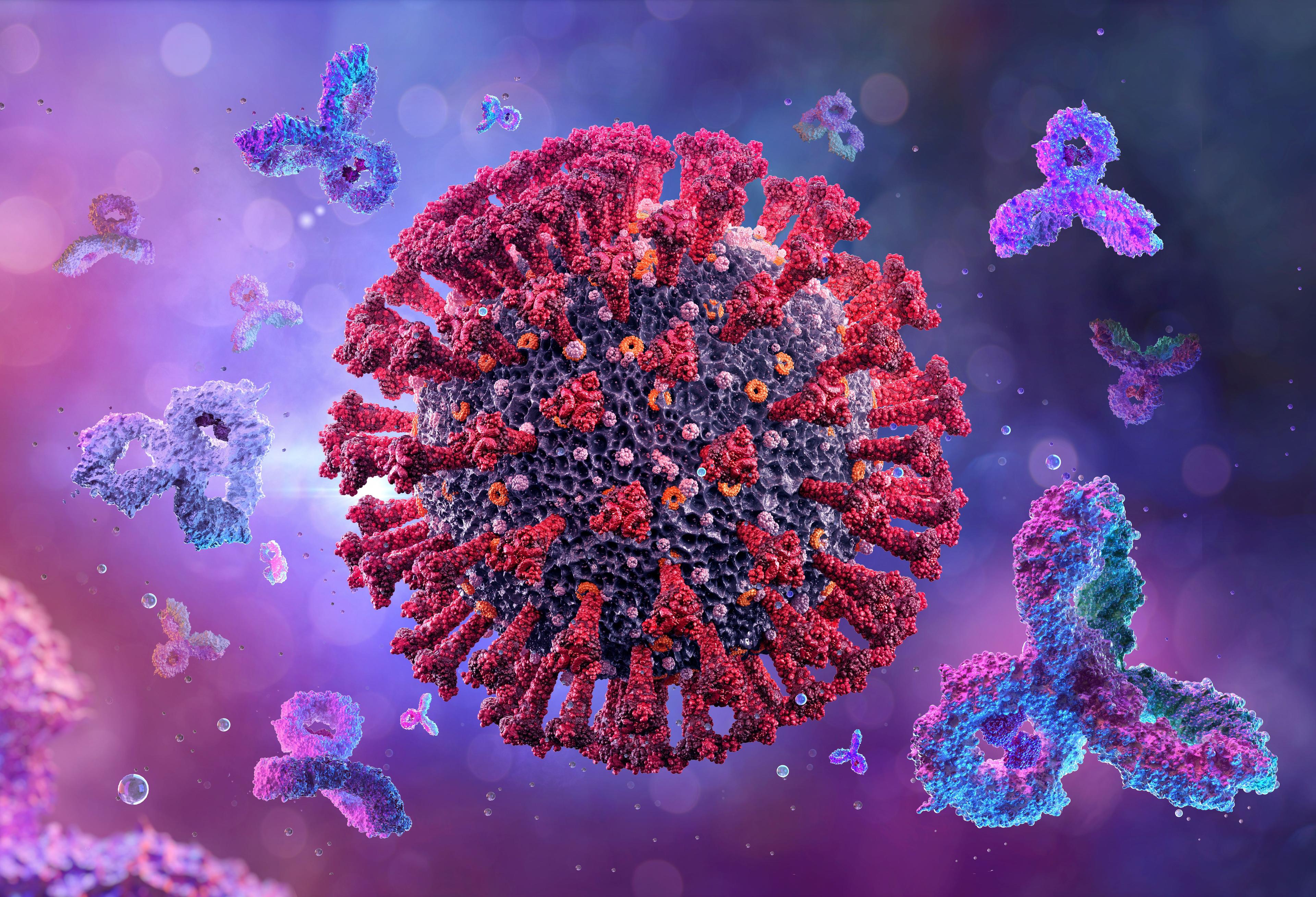 Antibodies attacking a COVID-19 cell.