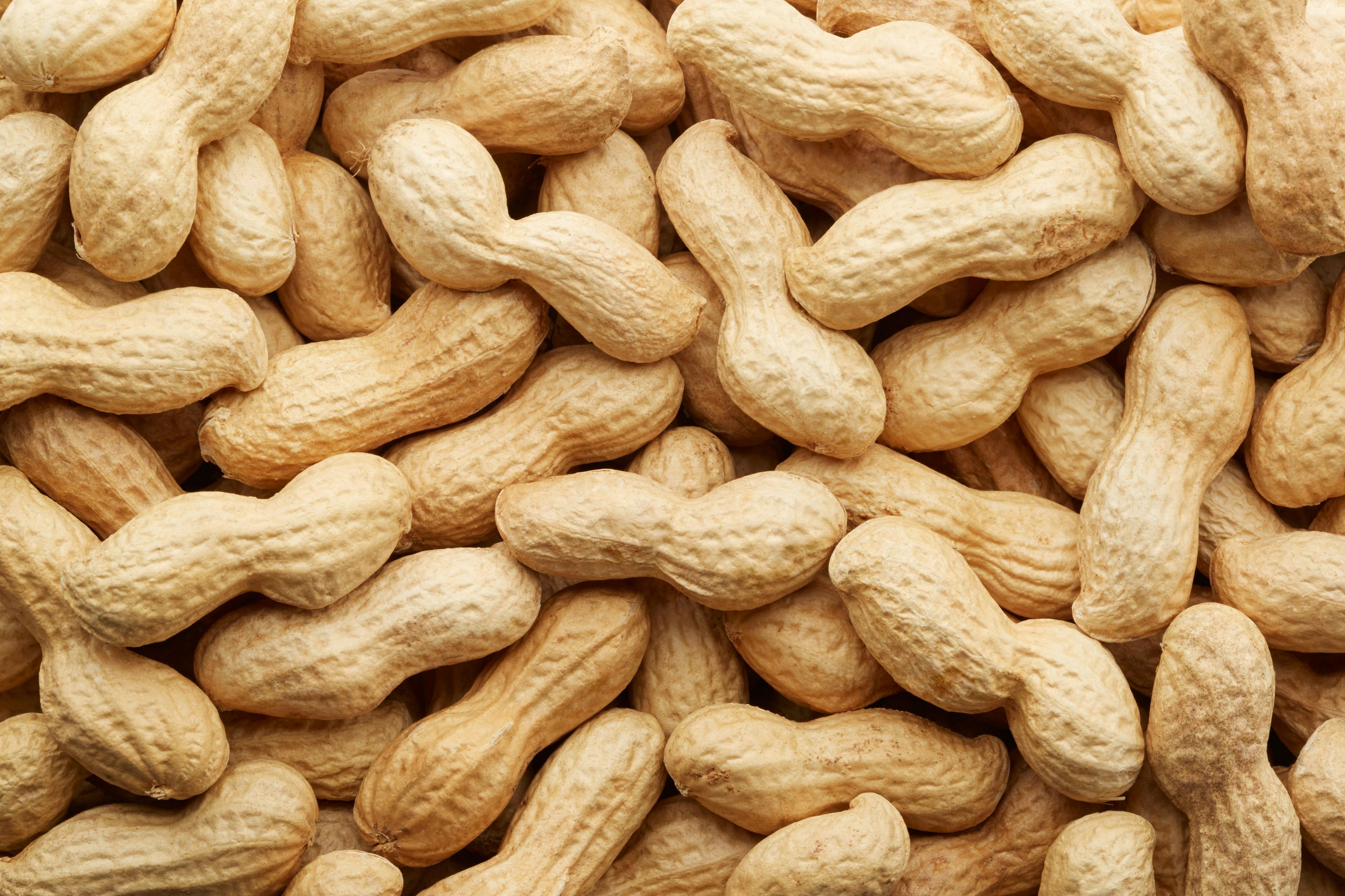 Peanut Allergy, toddler, pediatrics | Image Credit: andersphoto - stock.adobe.com