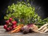 Plant-Based Diet Found to Lower Diabetes Risk