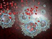 Immunomodulators Could Potentially Treat HIV