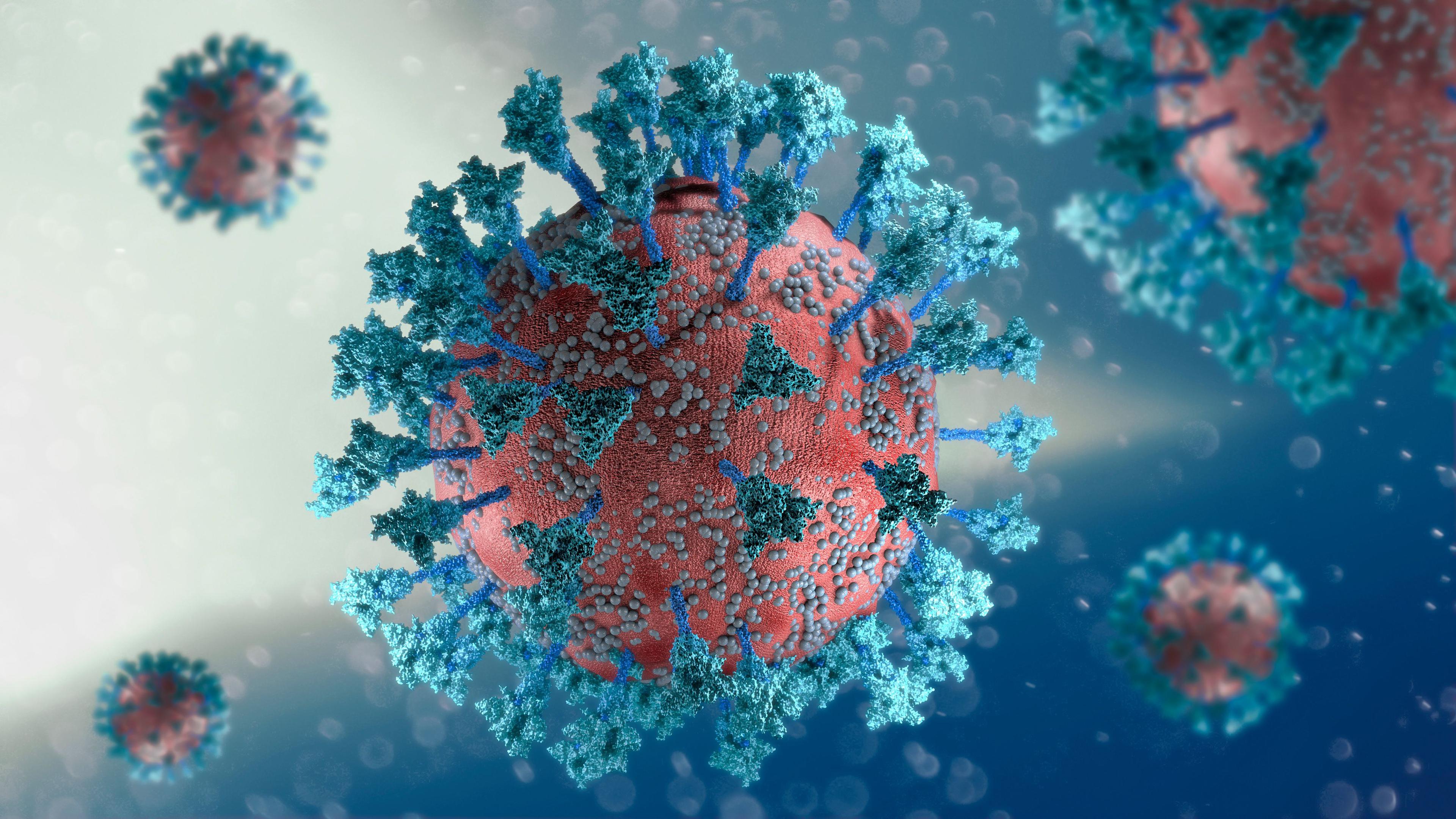 Coronavirus spike protein.