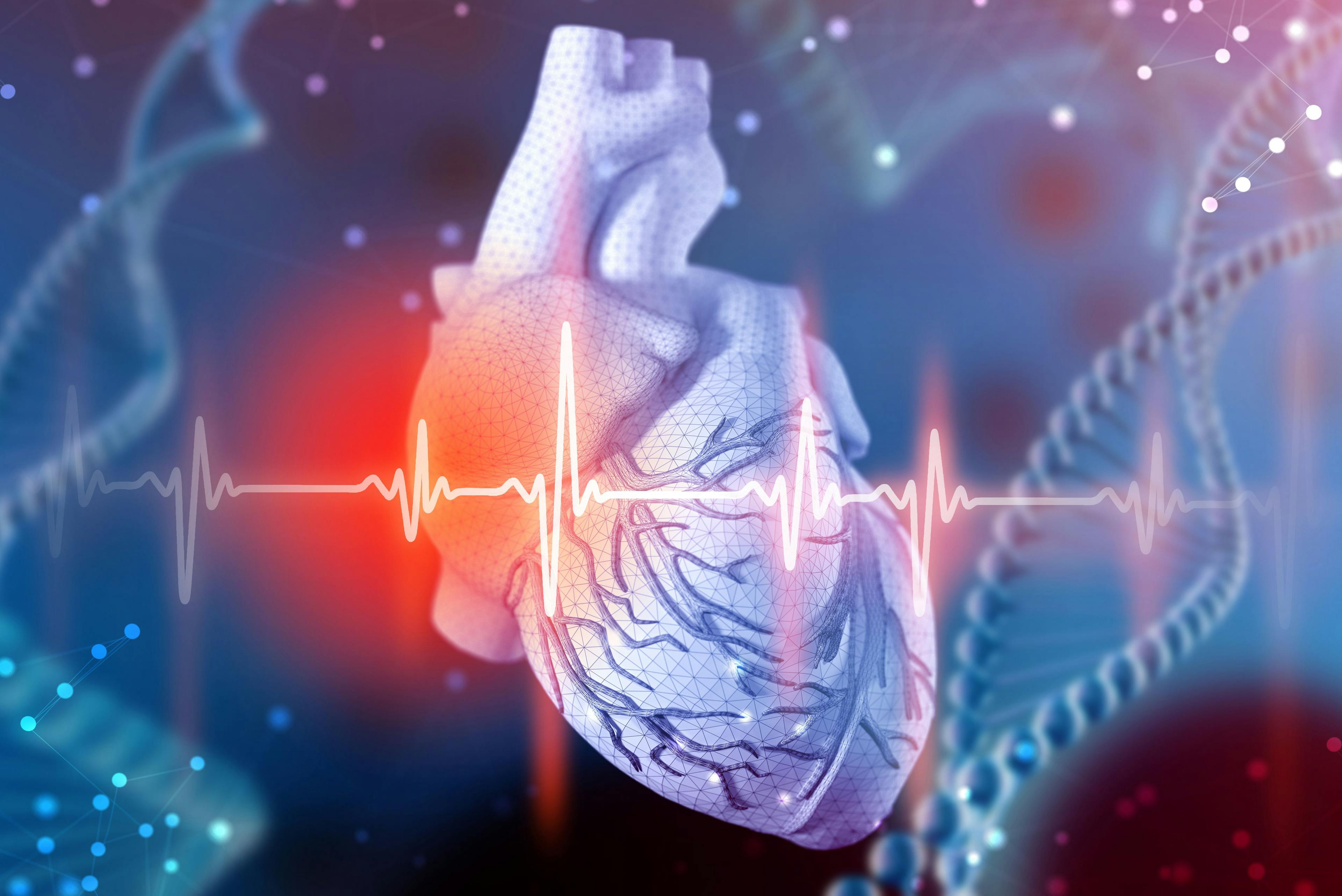 Cardiovascular system | Image Credit: Artem - stock.adobe.com
