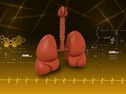 Atezolizumab Improves Lung Cancer Survival in Phase 3 Trial