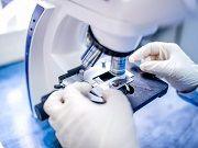 Safer Gene Therapy Approach May Lower Cancer Risk