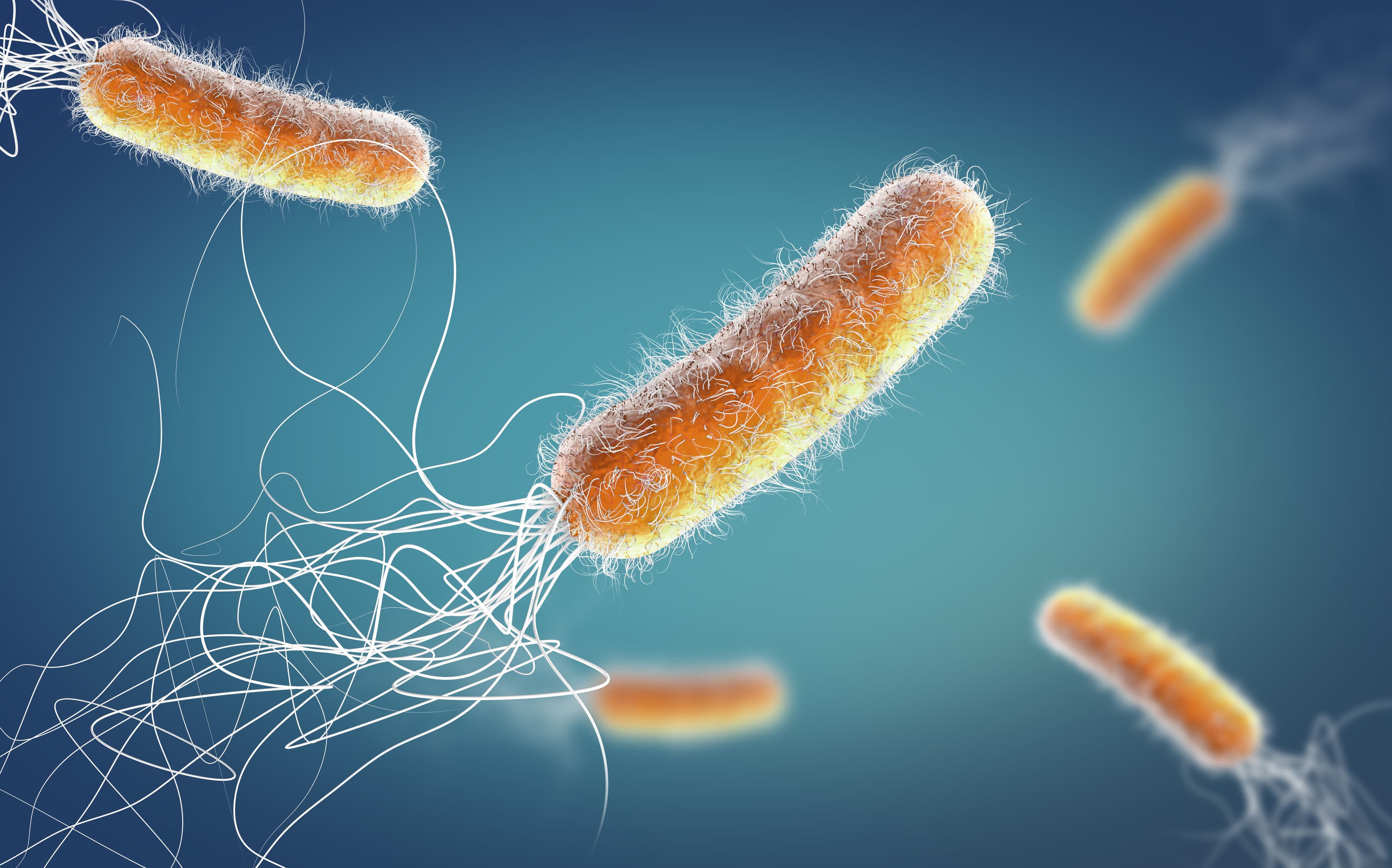 Expert Reviews Clinical Scenarios for the Treatment of Antimicrobial-Resistant Gram-Negative Infections Outside of Current Guidelines